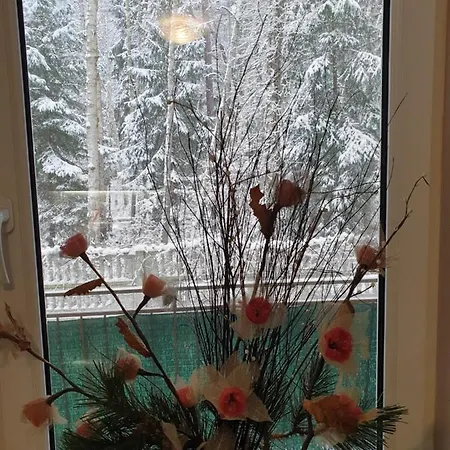 Apartament Maria Апартаменты *