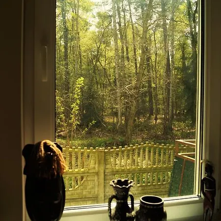 Апартаменты Apartament Maria Мендзыздрое