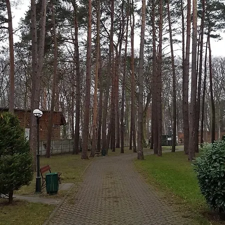 Апартаменты Apartament Maria Мендзыздрое