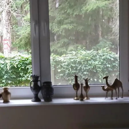 Апартаменты Apartament Maria *