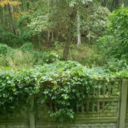 Апартаменты Apartament Maria *